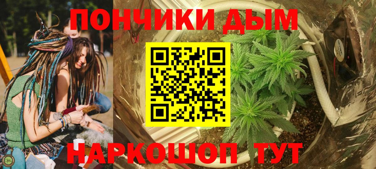 Бошки Шишки гибрид  Конопля VHQ  Вход с VPN  Чайковский  Конопля семена  Бошки марихуана индика 
